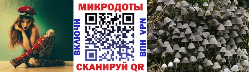 shop какой сайт  даркнет сайт  Кемерово  Псилоцибиновые грибы ЛСД 