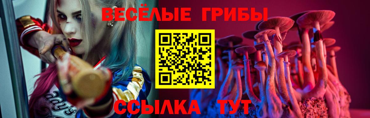 Кемерово  Псилоцибиновые грибы ЛСД  дарнет шоп  Псилоцибиновые грибы Psilocybe  Вход с VPN 